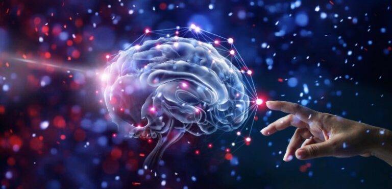 Lire la suite à propos de l’article La neuroplasticité du cerveau pour croire en soi