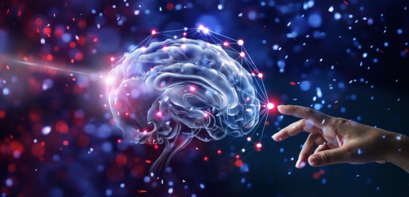 La neuroplasticité du cerveau pour croire en soi